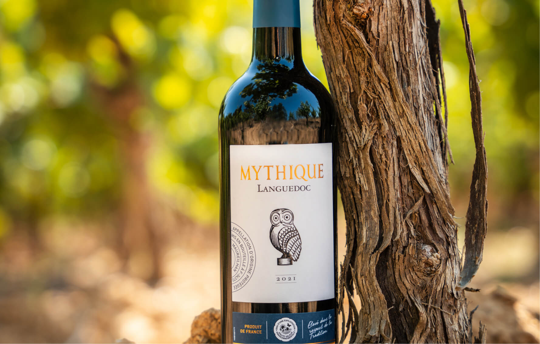 The Guardian - Mythique