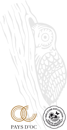 Die mythische Cuvée - Mythique