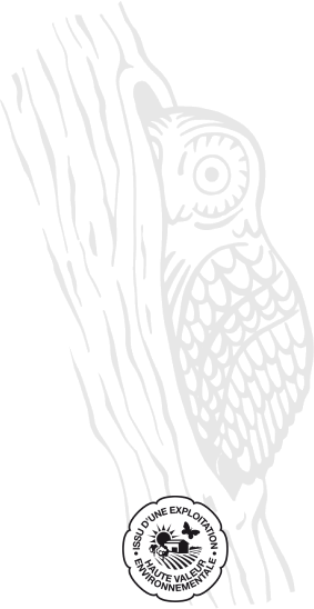 Mythique Caractère - Mythique